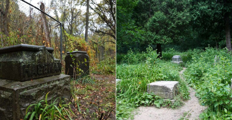 This Wildly Overgrown Illinois Cemetery Is Known As One Of America’s Most Haunted Spots