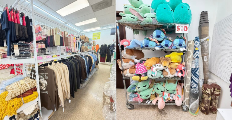 Virginia Hidden Treasure Hunts Where Smart Shoppers Stretch Every Dollar