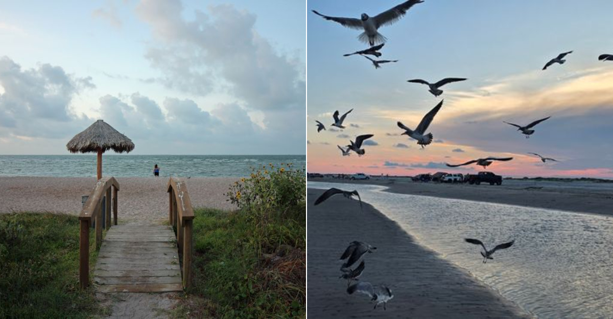 10 Best Beaches On The Texas Gulf Coast Locals Keep Going Back To