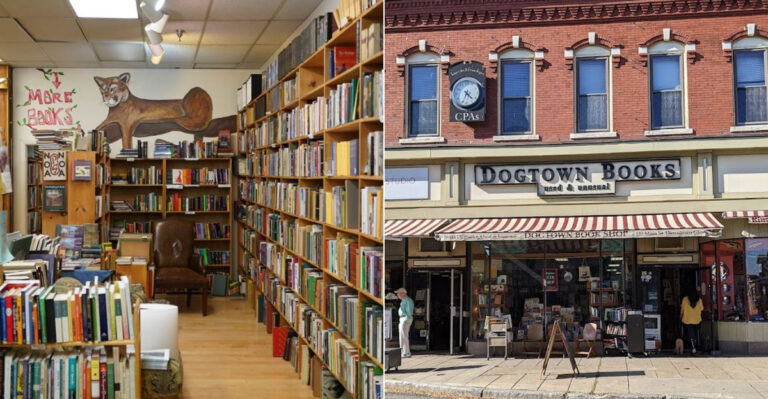 10 Best Massachusetts Antique Bookstores For Rare Finds And Quiet Browsing