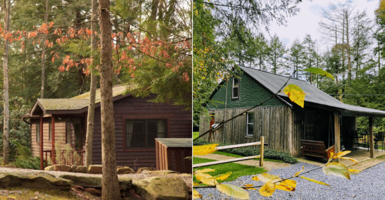 10 Best Pennsylvania State Park Cabins Worth Booking For A Peaceful Escape