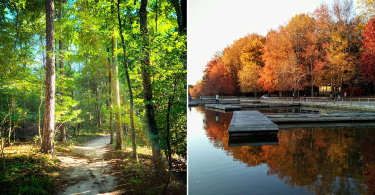 10 Hidden Delaware State Parks Worth Visiting Before The Crowds Find Them