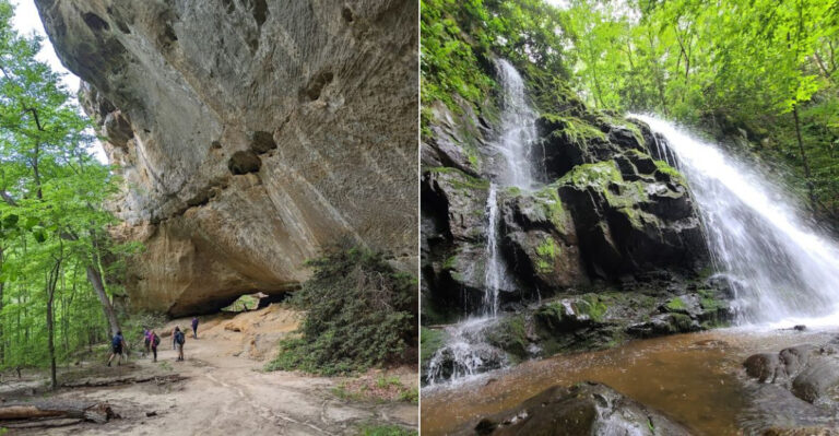 10 Hidden Tennessee Hiking Trails With Views Worth The Climb