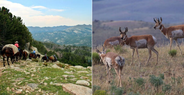 10 Peaceful Wyoming Valleys Where Locals Go To Escape The Crowds