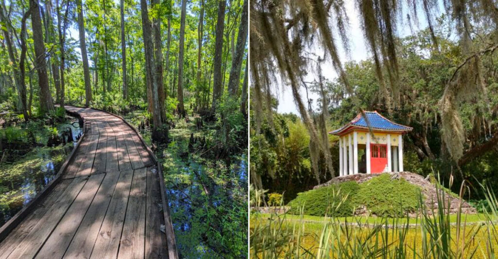 12 Incredibly Scenic Louisiana Day Trips That Turn A Free Day Into A Family Story
