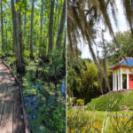 Scenic Louisiana Day Trip Spots