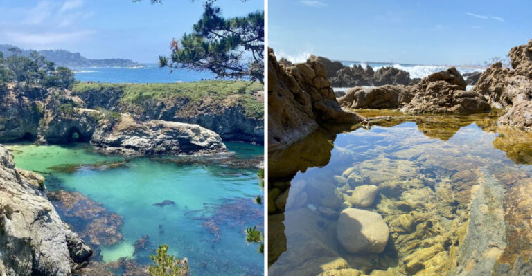 8 Beautiful California Tide Pools That Look Like Something From Another Planet