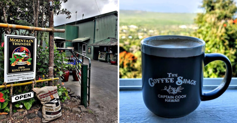 8 Charming Hawaii Coffee Farm Cafés That Locals Say Are The Only Places To Get A Truly Perfect Cup