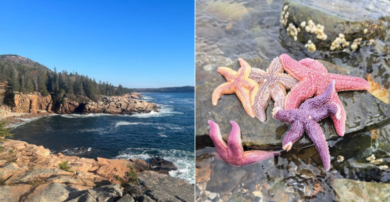 9 Stunning Maine Tide Pools That Turn A Simple Beach Walk Into A Coastal Adventure