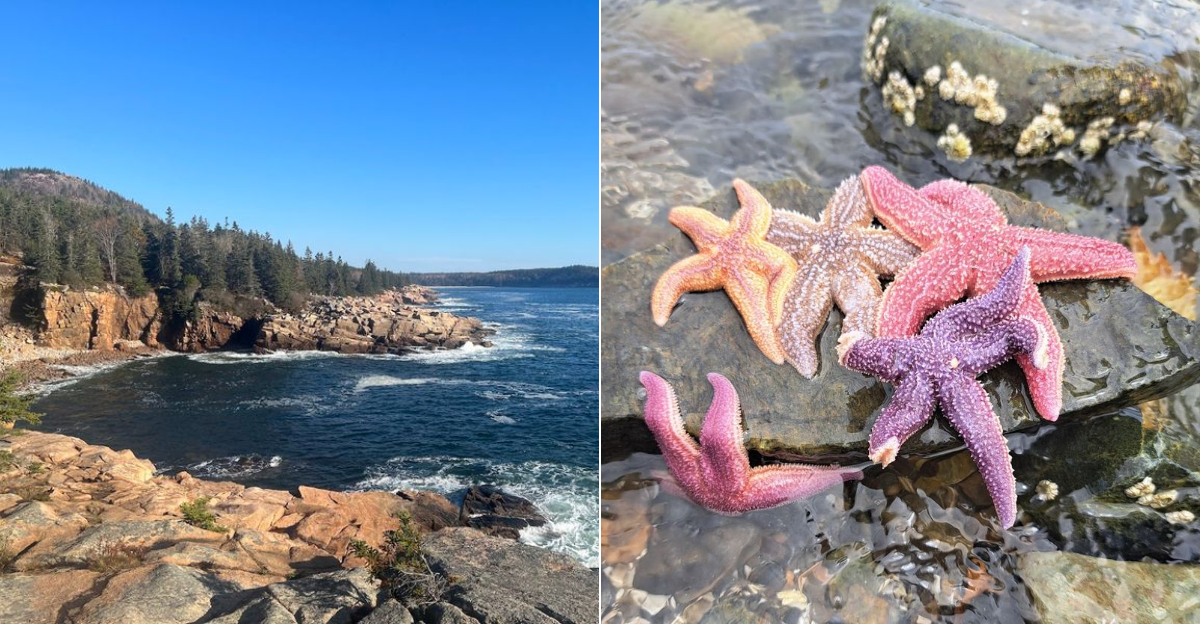 9 Stunning Maine Tide Pools That Turn A Simple Beach Walk Into A Coastal Adventure