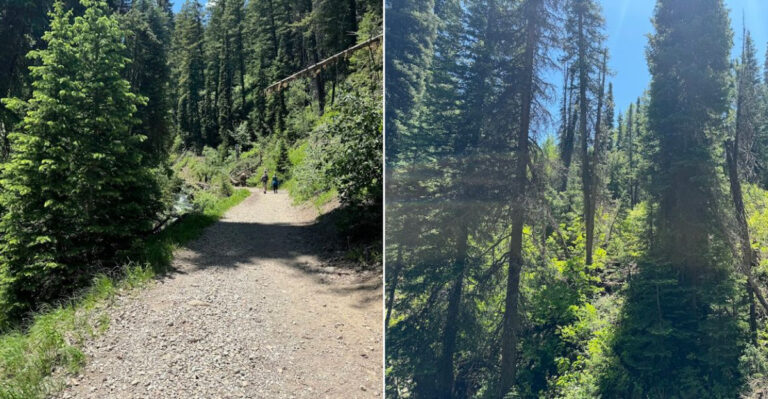 An Easy Utah Trail Leads To A Stunning Waterfall With The Sweetest Little Surprise