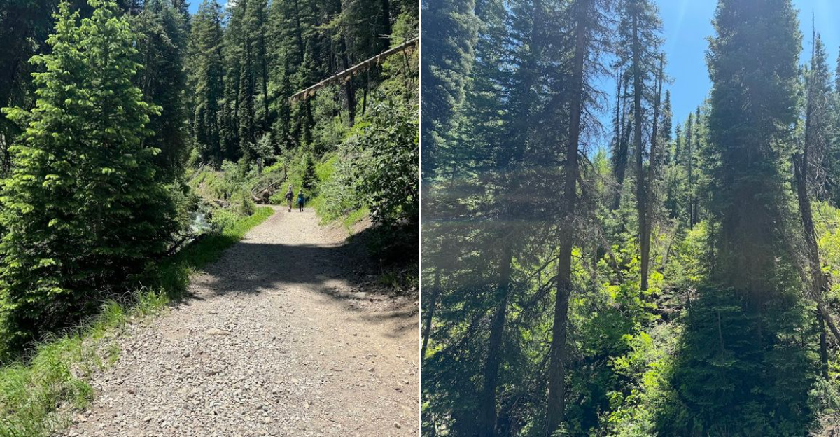 An Easy Utah Trail Leads To A Stunning Waterfall With The Sweetest Little Surprise