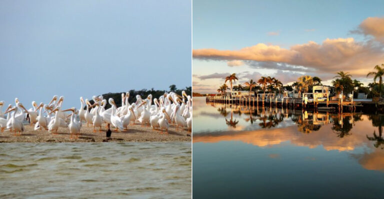 Far From Florida’s Beach Crowds, This Little-Known Swamp Town Is Unlike Anything Else In America