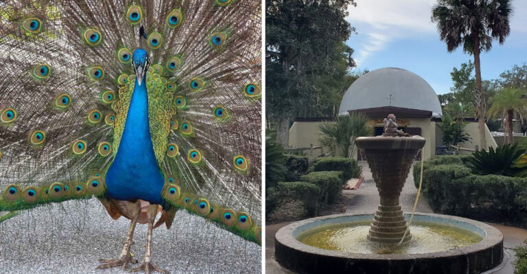 Florida’s Most Bizarre And Wonderful Roadside Attraction That Has To Be Seen To Be Believed