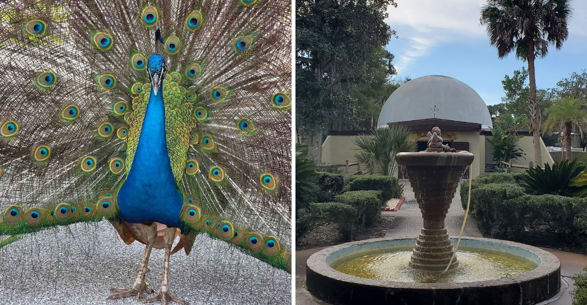 Florida’s Most Bizarre And Wonderful Roadside Attraction That Has To Be Seen To Be Believed