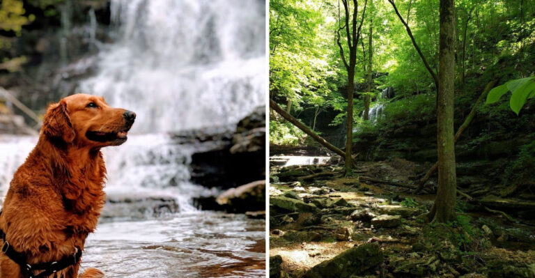 Locals In Tennessee Are Refusing To Post This Waterfall Online And The Hidden Trail That Leads To It