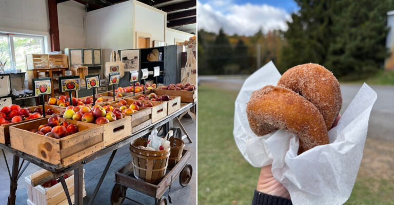The Apple Cider Donuts At This Vermont Orchard Make The Fall Drive Worth It