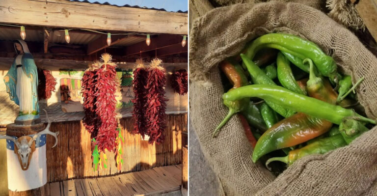 The Best Green Chile In New Mexico Is Sold At This Quirky Roadside Stop