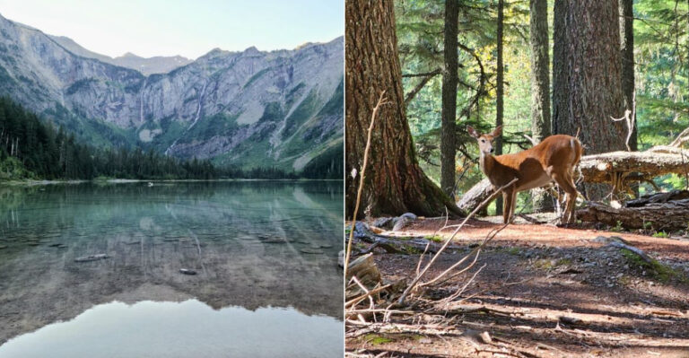 The Gorgeous Montana Lake Most Tourists Drive Right Past Without Ever Knowing What They Missed