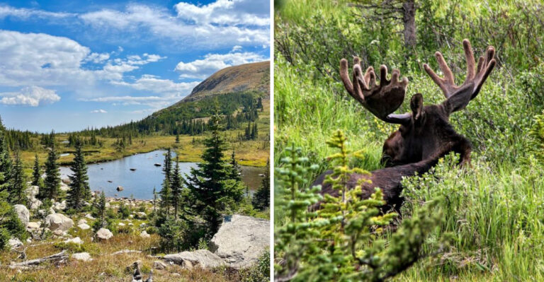The Most Beautiful Lake In Colorado That Most Visitors Drive Right Past Without Stopping