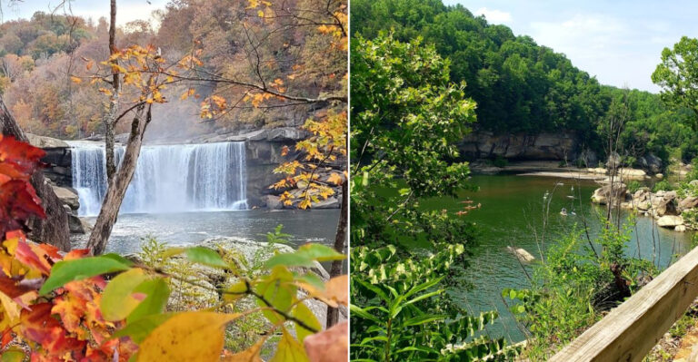 The Secluded Swimming Hole In Kentucky That Locals Would Rather Keep Quiet