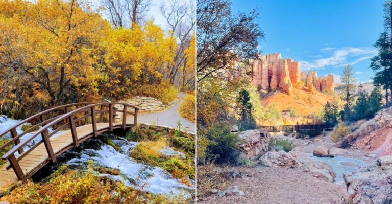 These Beautiful Easy Hikes In Utah Lead To Secret Waterfalls And Sweeping Views