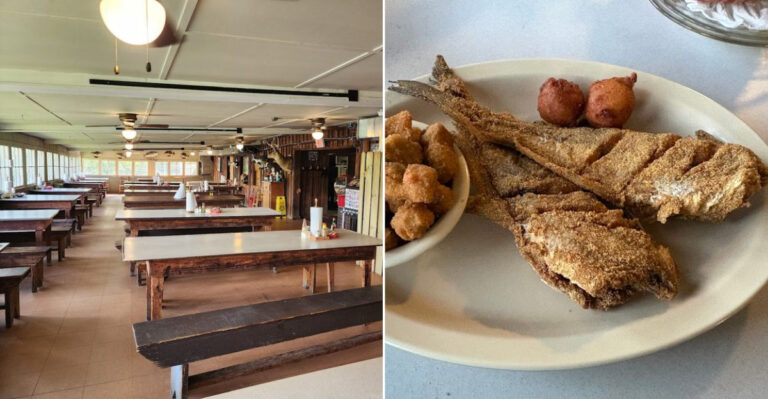 This Alabama Shack Serves Fried Catfish People Swear Is Among The South’s Best