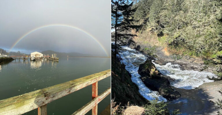 This Beautiful Washington Cove Is A Quiet Coastal Escape Many Locals Miss