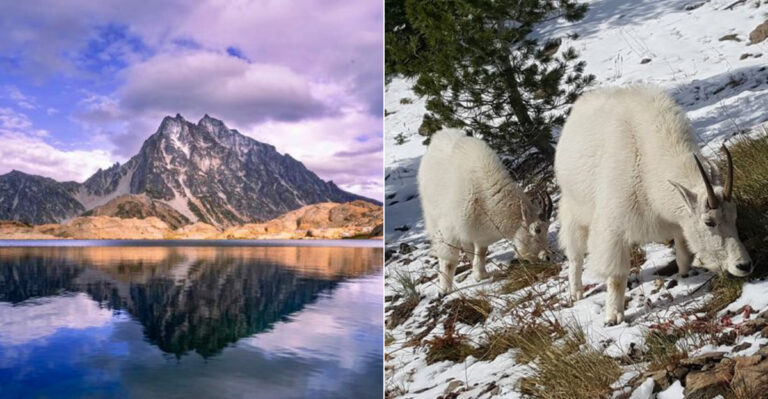 This Breathtaking Washington Trail Leads To A Crystal-Clear Alpine Lake Most Hikers Miss