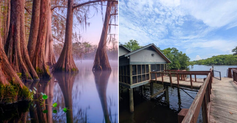 This Dreamy Louisiana State Park Looks Like It Belongs In A Painting