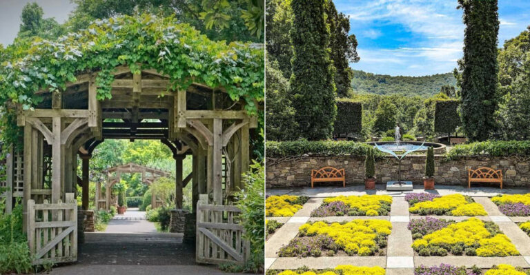 This Dreamy North Carolina Arboretum Feels Like A Claude Monet Painting Come To Life