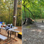 Tunica Hills Campground