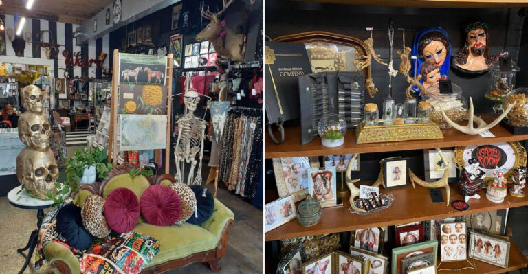This Iowa Boutique Is A Modern Cabinet Of Curiosities Worth Exploring Anytime
