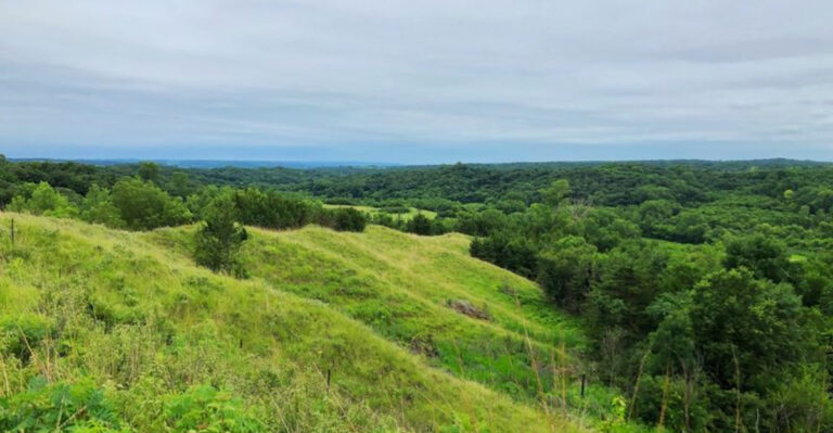 This Iowa State Park Hides A Forgotten 1850s Story Beneath Its Quiet Trails