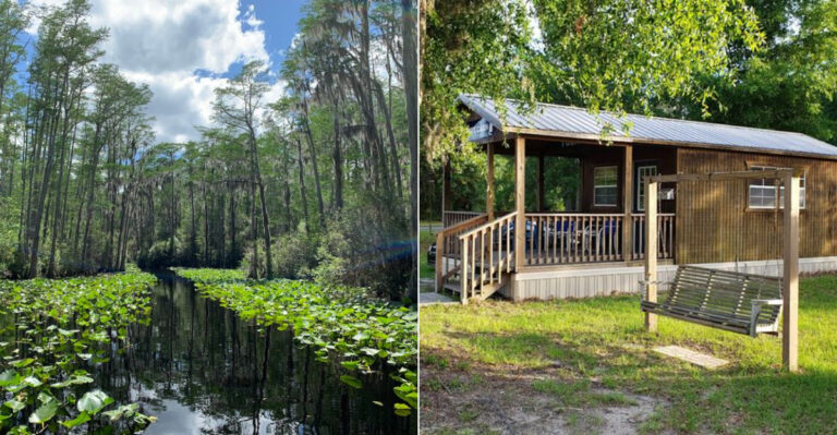 This Little-Known Georgia Swamp Town Is A One-Of-A-Kind Southern Escape