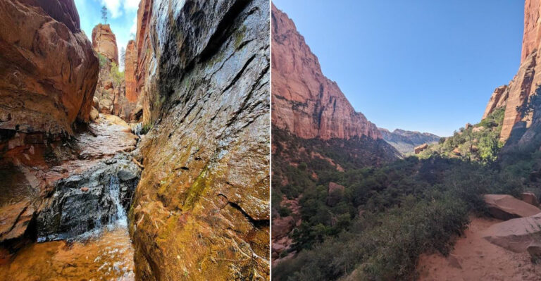 This Little-Known Utah Canyon Has A Shady Trail And A Beautiful Hidden Waterfall