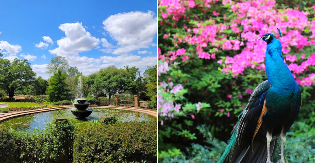 Rip Van Winkle Gardens