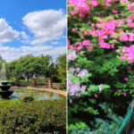 Rip Van Winkle Gardens