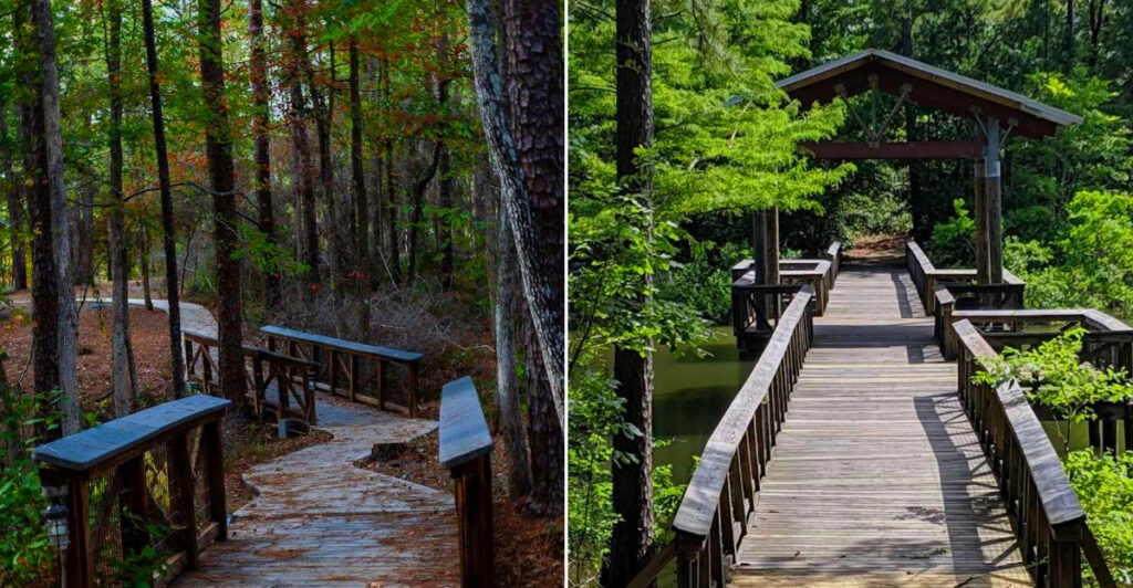 South Toledo Bend State Park