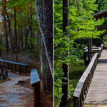 South Toledo Bend State Park