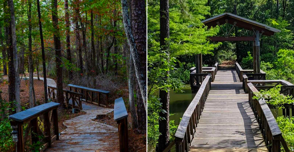 This Louisiana State Park Has The Views, Trails, And Quiet You Want This May