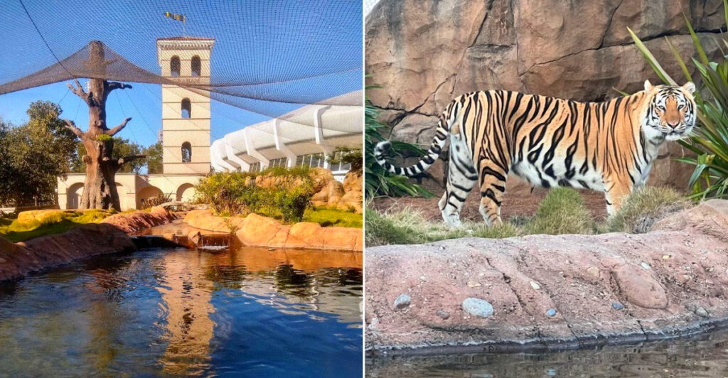 Mike the Tiger Habitat