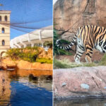 Mike the Tiger Habitat
