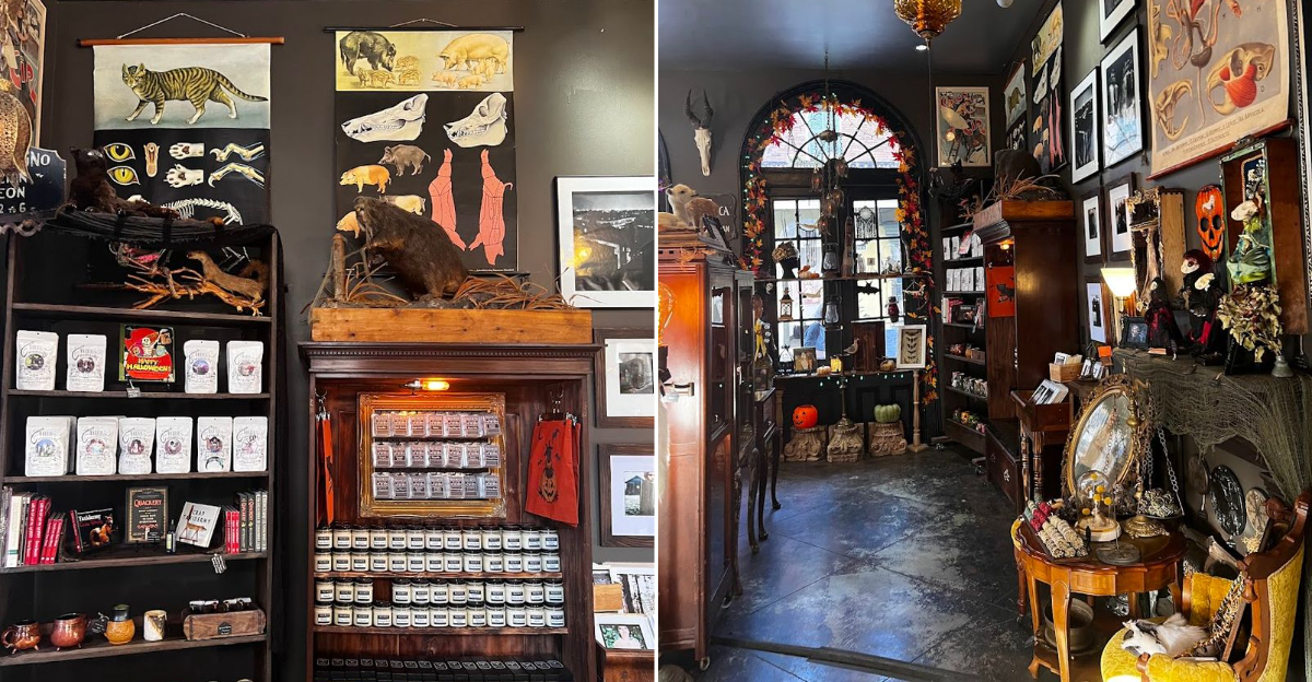 This New Orleans Curiosity Shop Is Packed With Oddities, Mystery, And Dark Charm