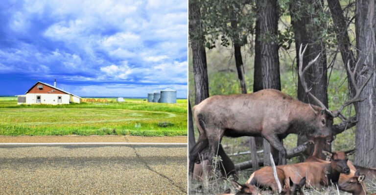 This Quiet Montana Town Makes Life In The American West Surprisingly Affordable