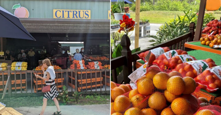 This Roadside Florida Citrus Spot Is Famous For Its Sweet, Juicy Oranges