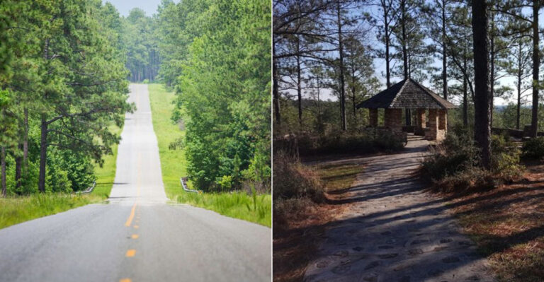 This Scenic Louisiana Country Drive Leads To A Rewarding Final Stop