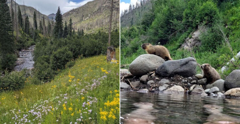This Secret Colorado Hot Spring Hike Rewards Every Step With Pure Mountain Magic