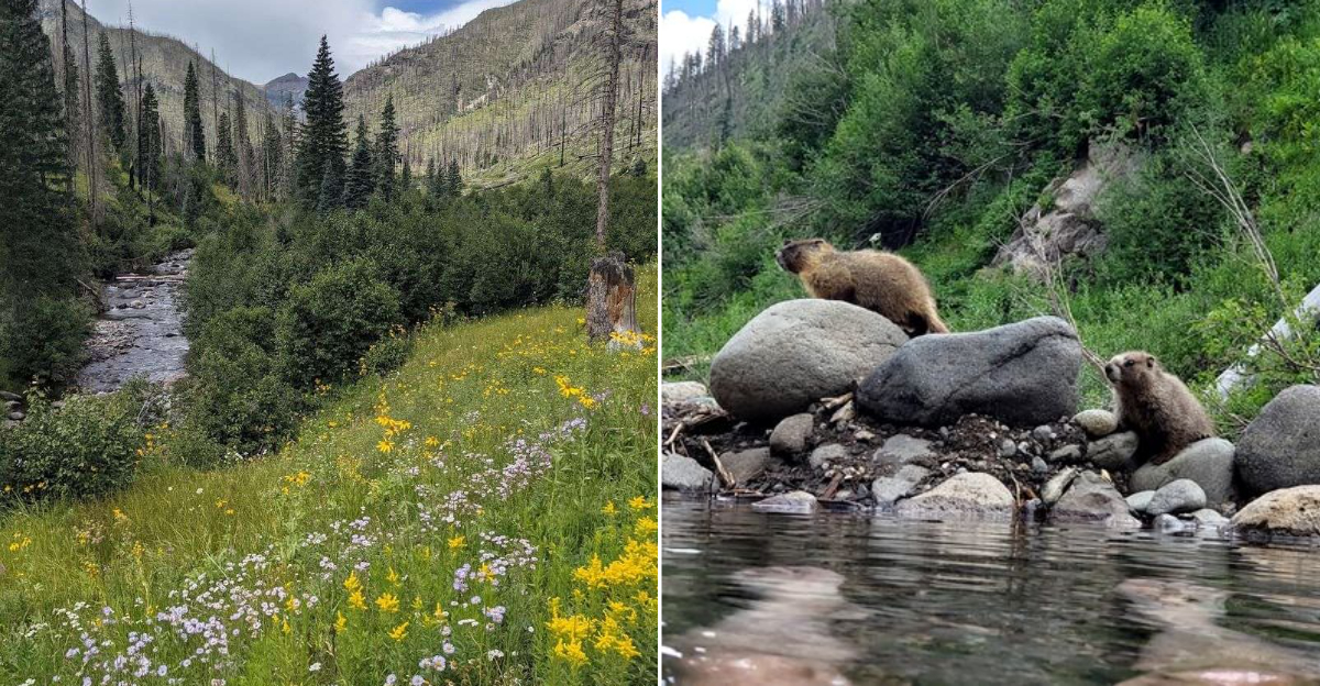 This Secret Colorado Hot Spring Hike Rewards Every Step With Pure Mountain Magic