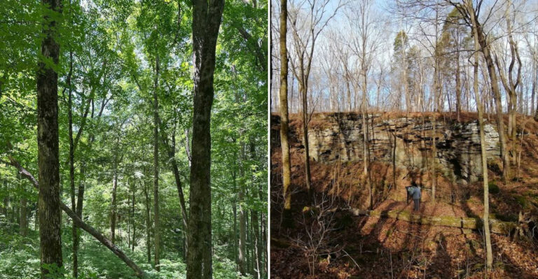 This Short Kentucky Hike Packs Sinkholes, Caves, And Wild Scenery Into One Trail